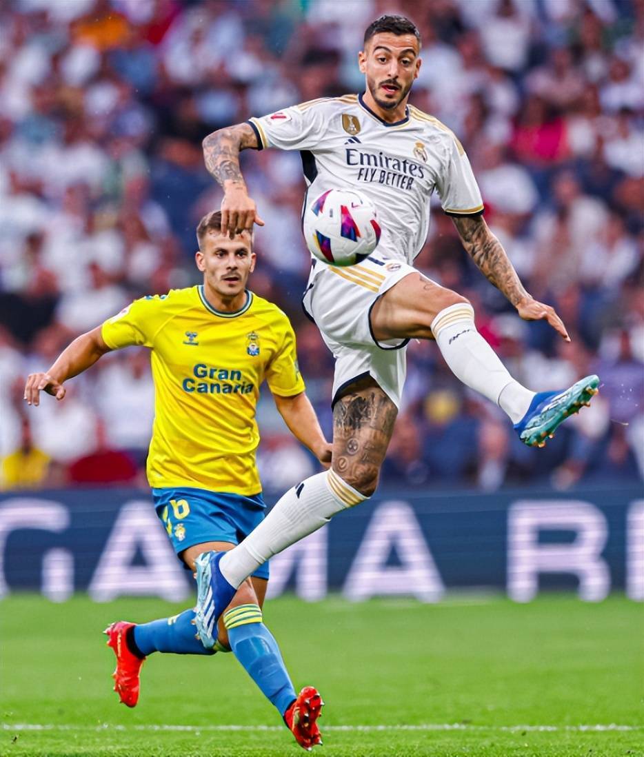 开云-JackeyLove迎来五赛季出色发挥，SKT观众热烈欢呼！-开云